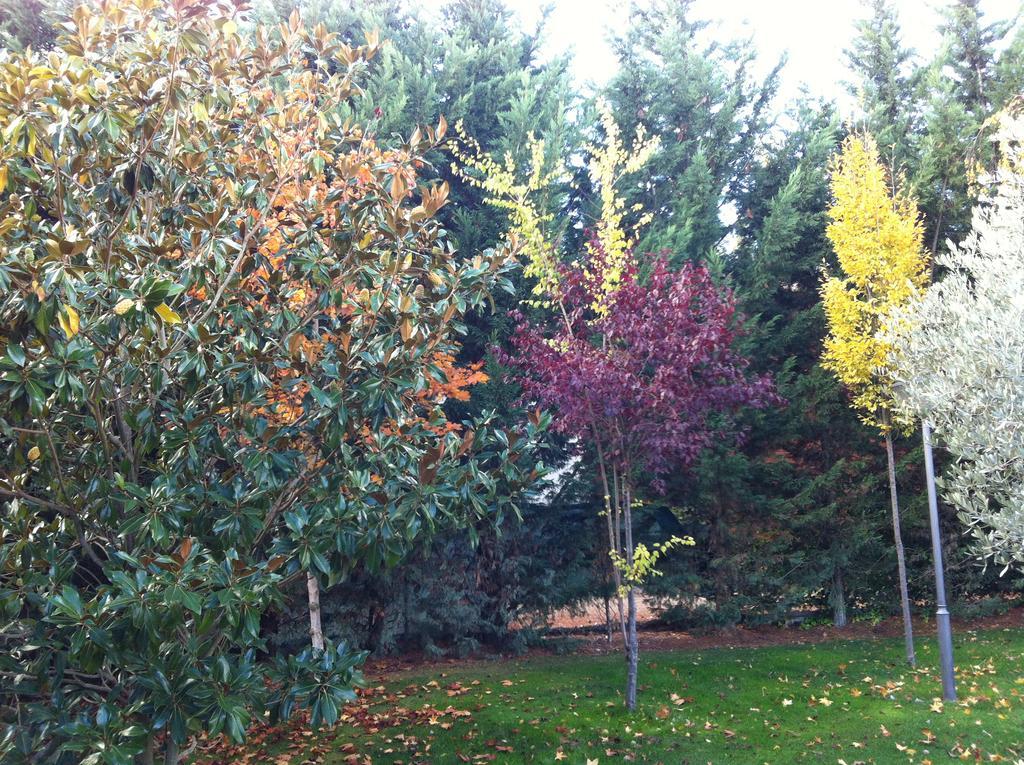 La Alberca Villa Palencia Eksteriør bilde